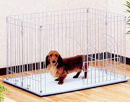 トイレの躾の工夫